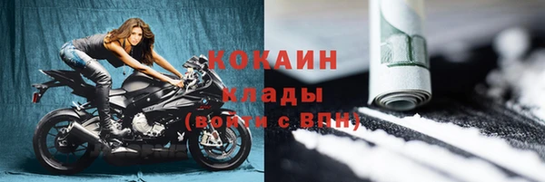дмт Богданович
