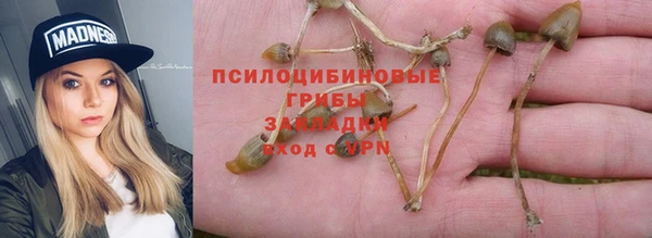 мдма Богородск