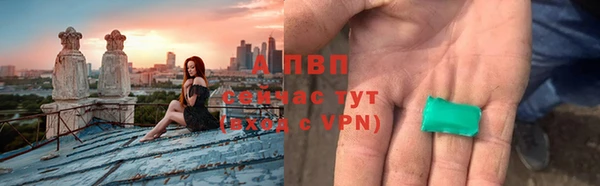 дмт Богданович