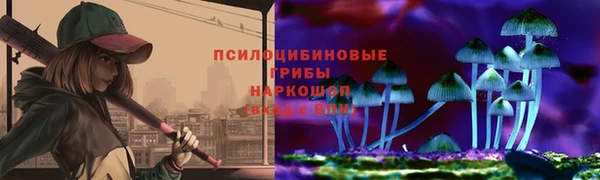 дмт Богданович