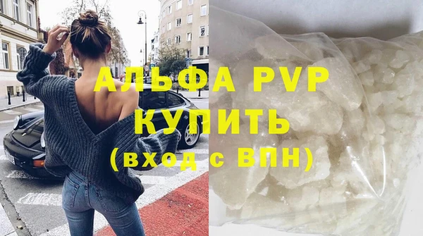 дмт Богданович