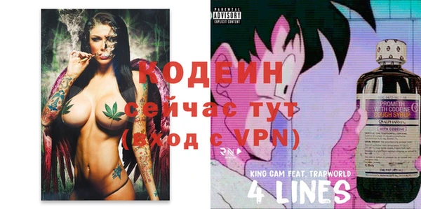 дмт Богданович