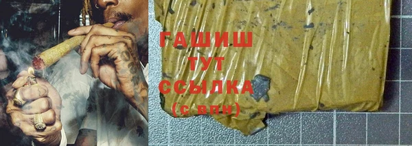 дмт Богданович