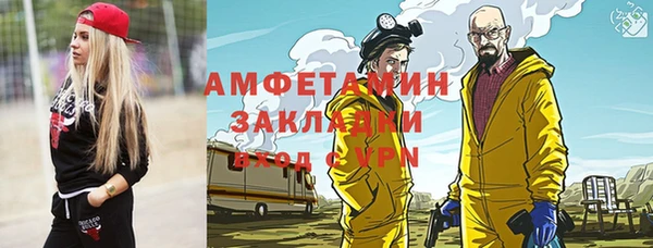 дмт Богданович