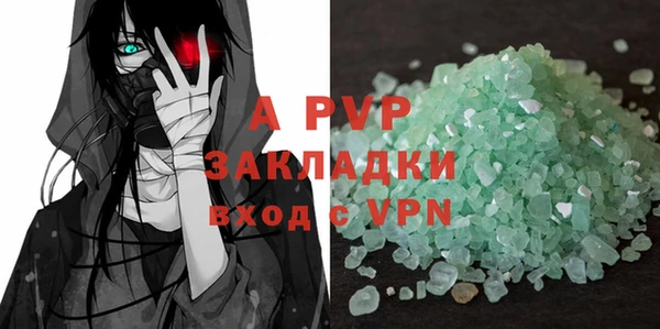 дмт Богданович