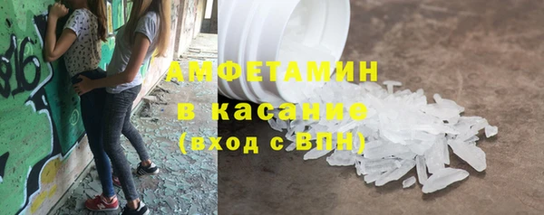 дмт Богданович